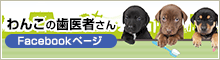 񂱂̎҂ Facebooky[W