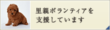 里親ボランティアを支援しています