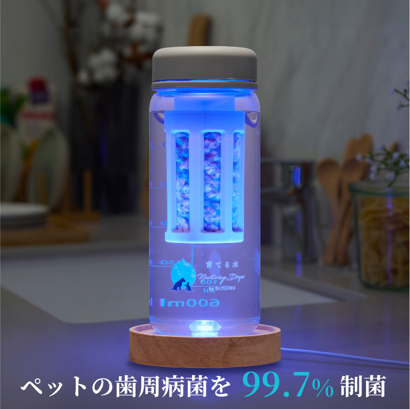 ☆次回再販 3月15日（日）10:00〜予定☆】※事前予約はお電話のみ