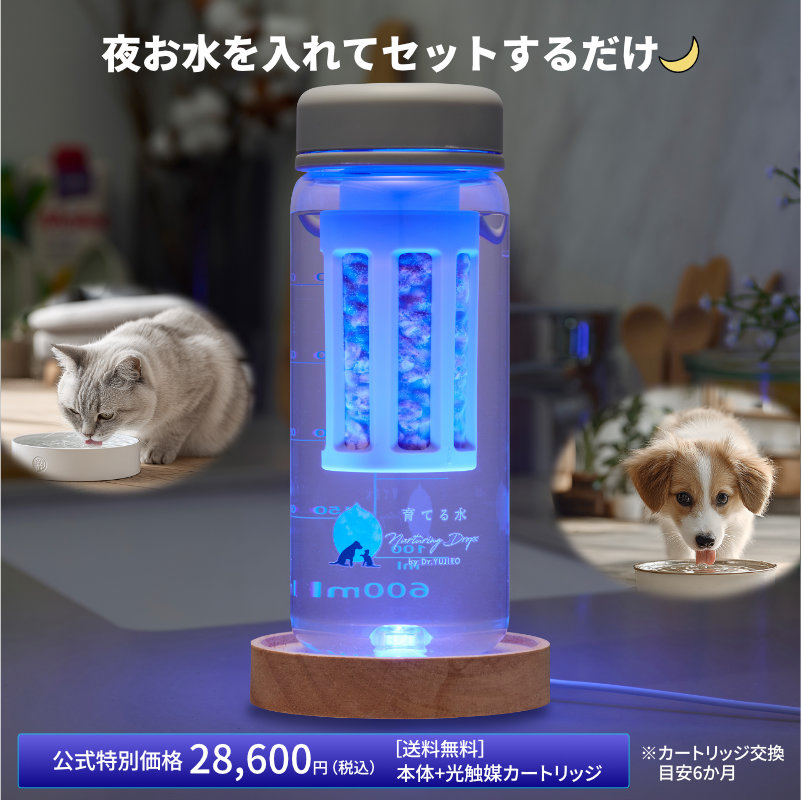 邨ăZbg邾