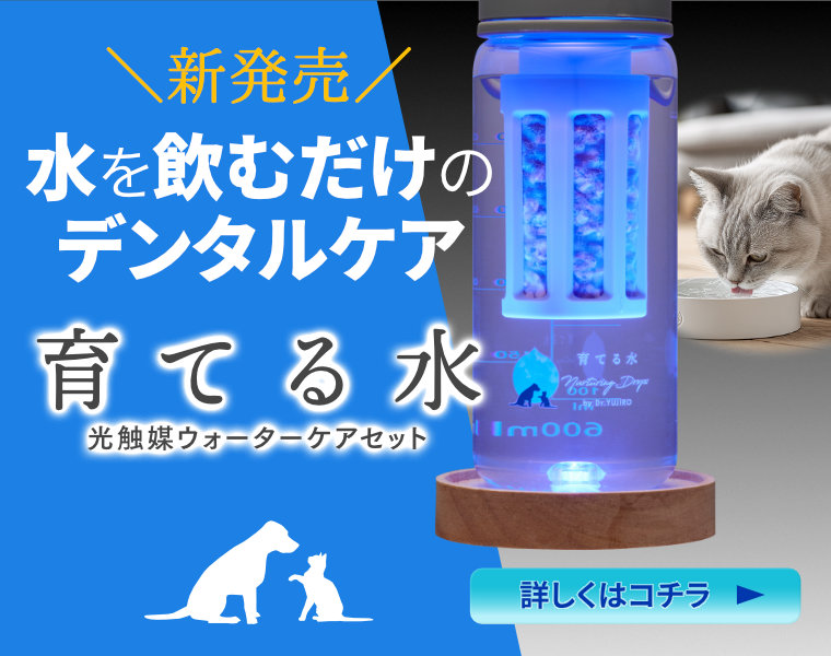 Ă鐅