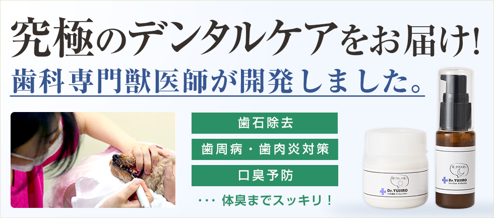 最前線の 犬猫のデンタルケア ジェル 夜用 2本 パウダー 朝用 1個 特別セット 3000頭以上の犬の歯石除去 歯石取りを行ってきた獣医師が開発 